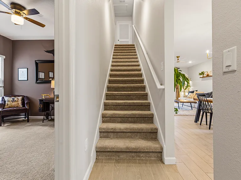 20 Disston Cv — Photo 25