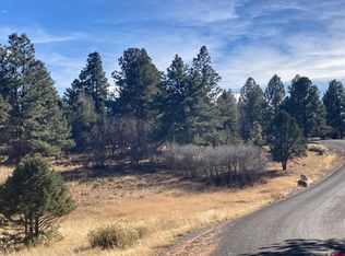 155 Pronghorn Lane, Ridgway, CO 81432