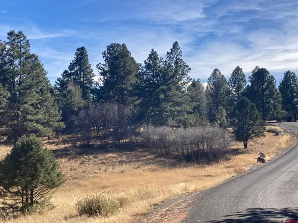 155 Pronghorn Lane, Ridgway, CO 81432