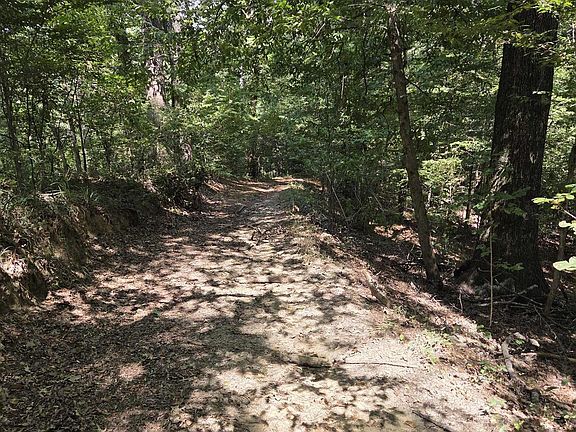3rd image of Lots 2 4 Farrar Davis Rd