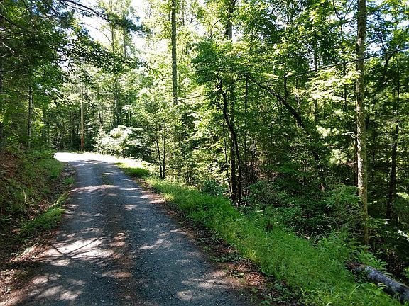 2nd image of 0 Dean Falls Trl