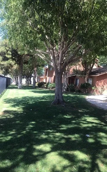91770 Avenue 66 #91 — Photo 7