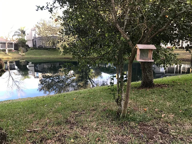 Peaceful waterway