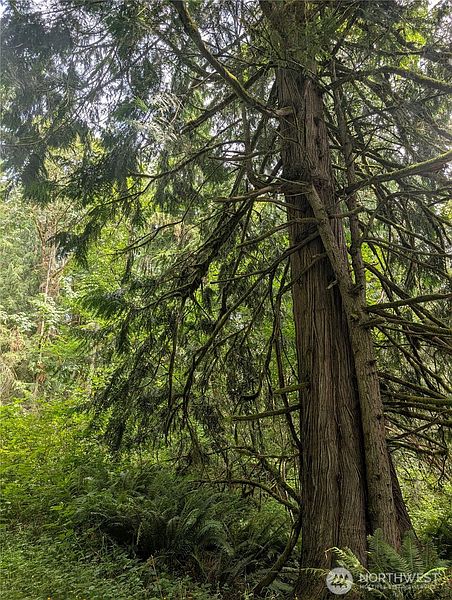 5th image of 25314 Ebey Mountain Road