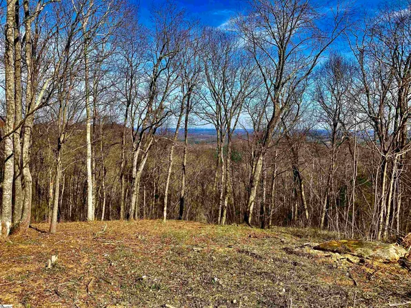 811 Raven Rd, Landrum, SC 29356