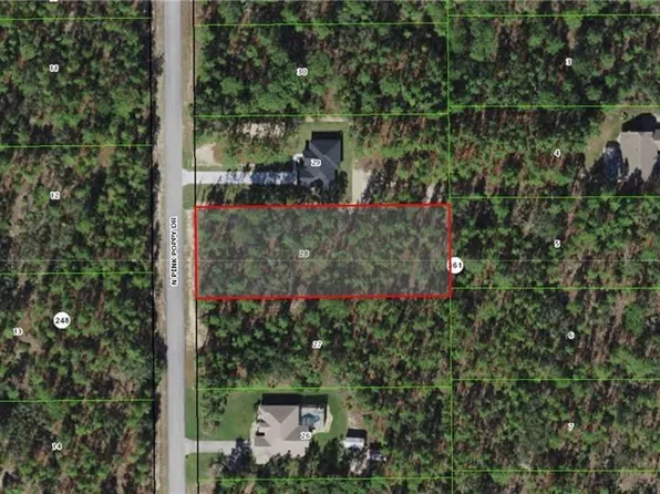 4337 N Pink Poppy Dr, Beverly Hills, FL 34465