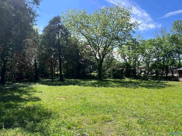 114 Spring St, New Hope, AL 35760