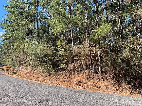 3rd image of Lake David Dr