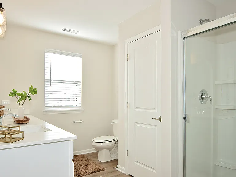 Modern Bathroom Oasis