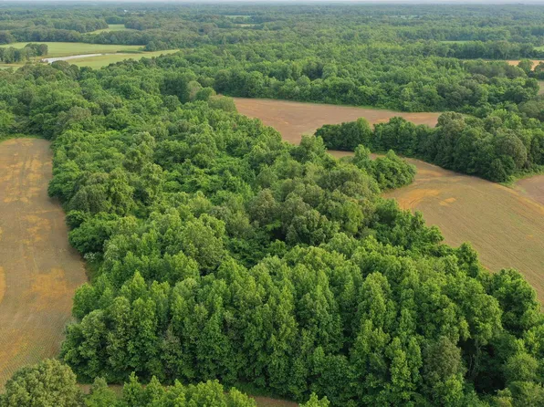 1858 Denmark Jackson Rd, Denmark, TN 38391