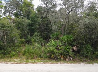 145 Bull Run Ave, Osteen, FL 32764