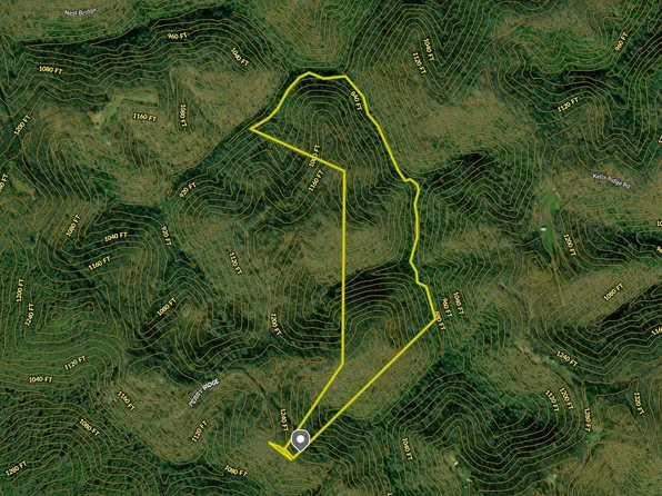 0 Perry Ridge Rd, Dunlow, WV 25511