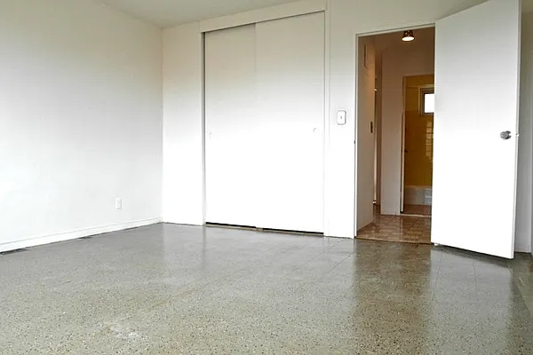 Sold by Cicada International LLC | media 17