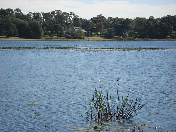 Rice Lake