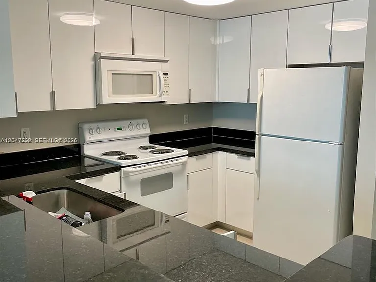 1250 S Miami Ave #2111 — Photo 5