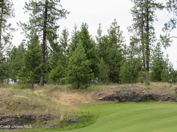 6546 S Jackleg Trl, Harrison, ID 83833