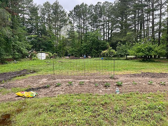 4th image of 3810 Fish Hook Dr