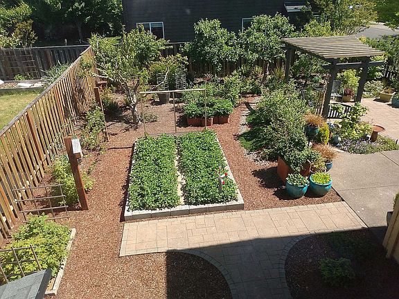 Garden with berries / fruit