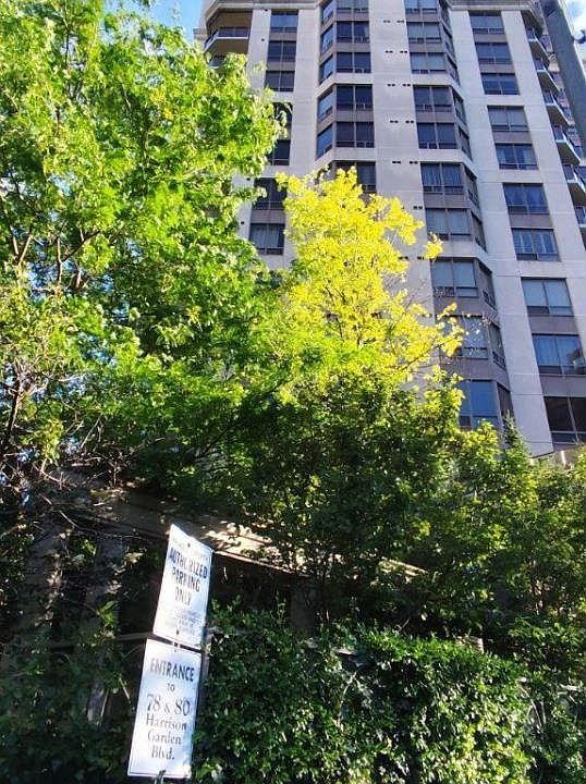 1st image of 78 Harrison Garden Blvd #514