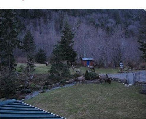 3rd image of 17520 425th Ave SE