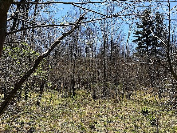 NE corner looking in