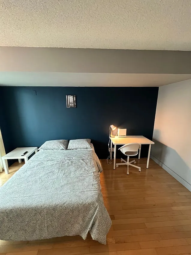 Deluxe Room - Front St W & Spadina Ave — Photo 1