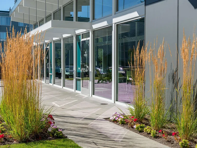 Courtyard Garden