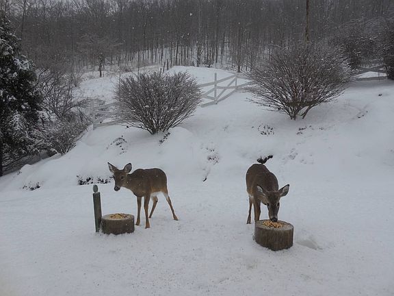 78th image of this home