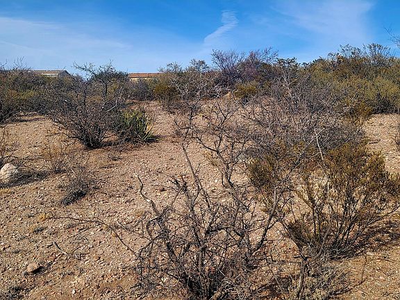 4th image of Lot 287 N Saddleback Circle #287