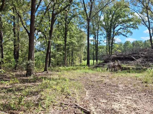1068 Goathill Rd, Elm Grove, LA 71051