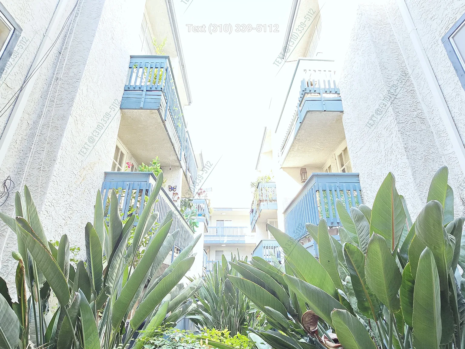 2 bed, 1009 sqft, $2,745 — Photo 3