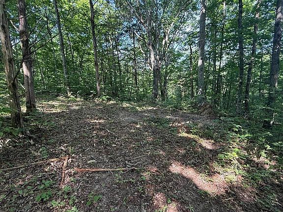4th image of 3030 Bull Ridge Rd #2