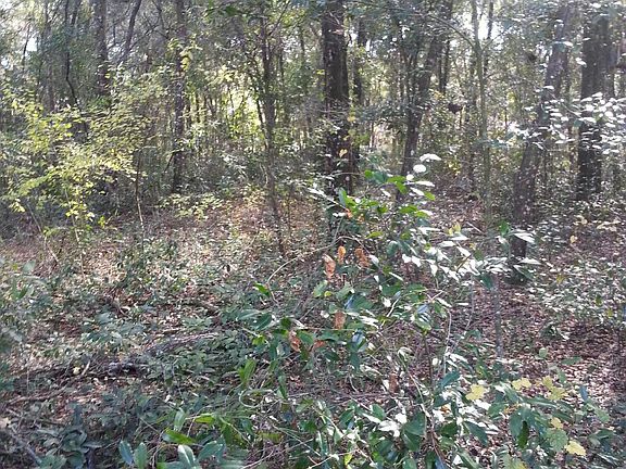 5th image of 00 Westwood Dr