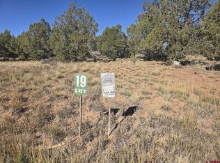 134 Rawhide Rd, Durango, CO 81303