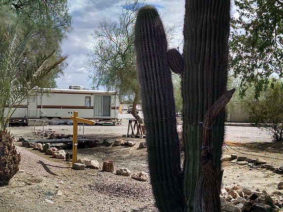 Rental Trailer, Cacti