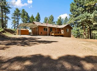 234 Wasatch Ln, Florissant, CO 80816