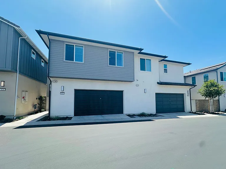 625 Gadwall — Photo 21