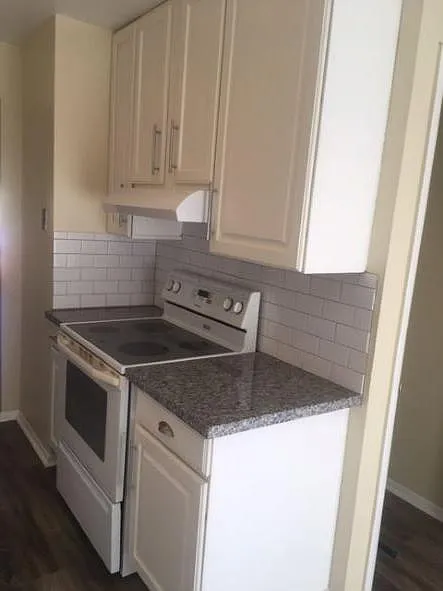 2 bed, 700 sqft, $1,600 — Photo 4