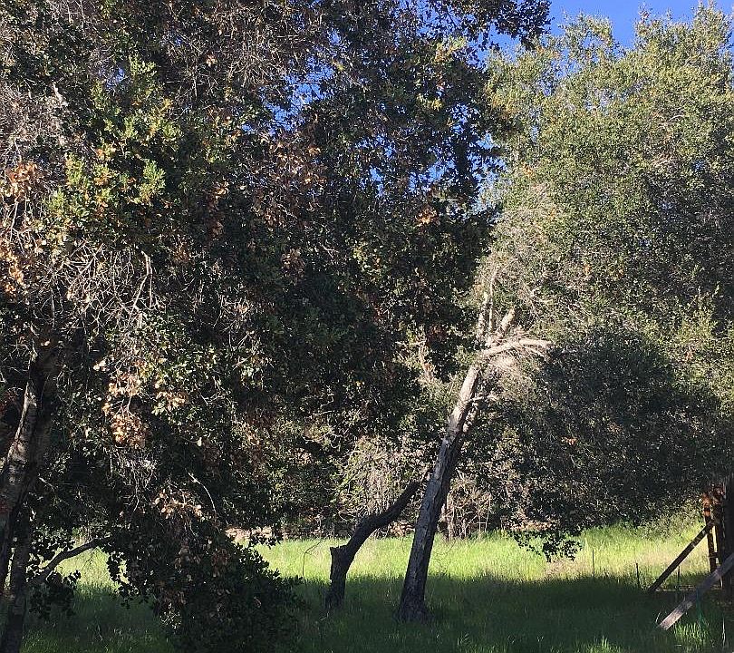 2nd image of 47 E Carmel Valley Rd