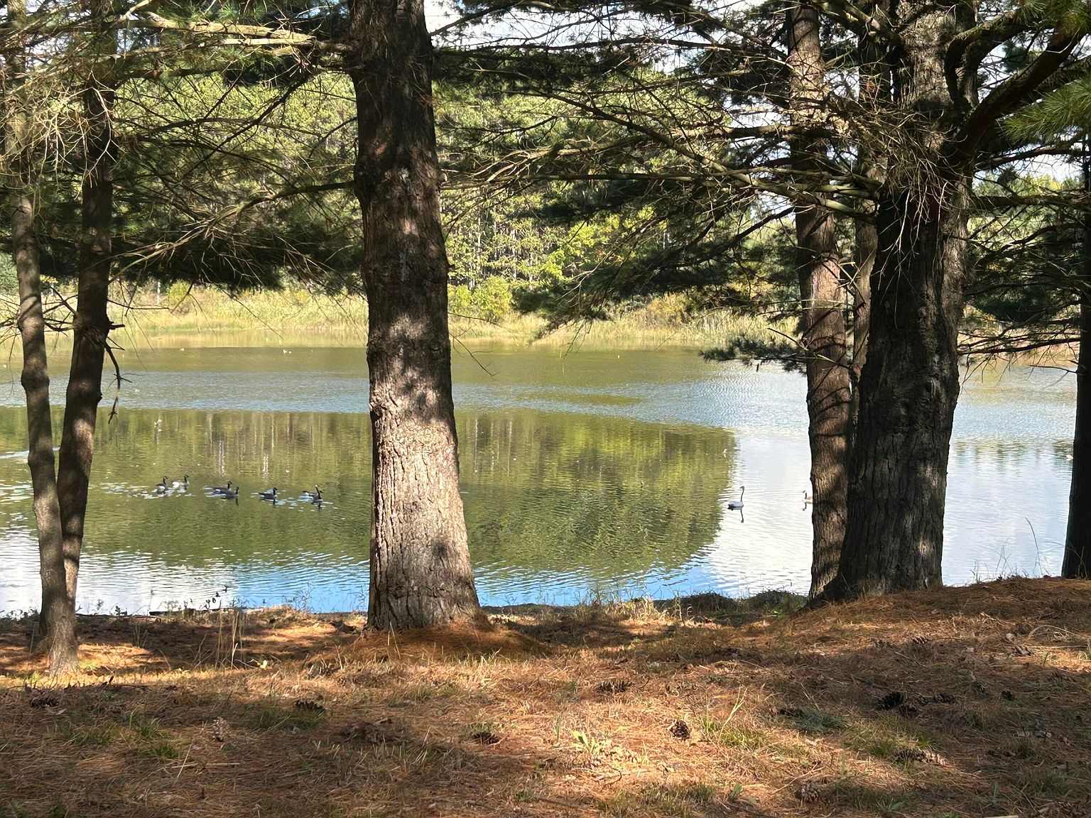 6878 Bantry Bay Ct #3