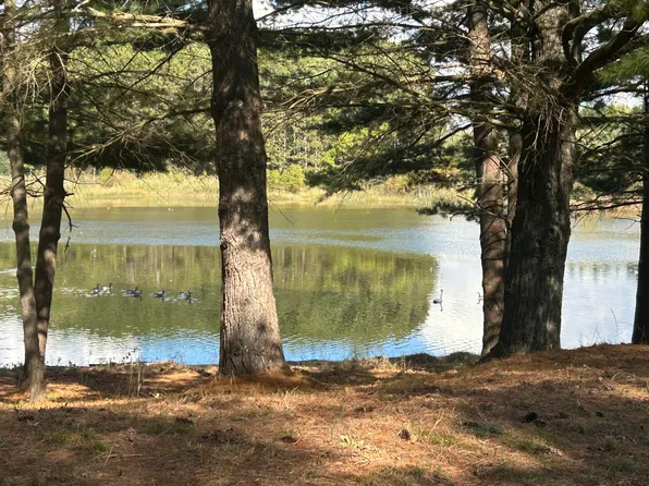 6878 Bantry Bay Ct #3, Stanwood, MI 49346