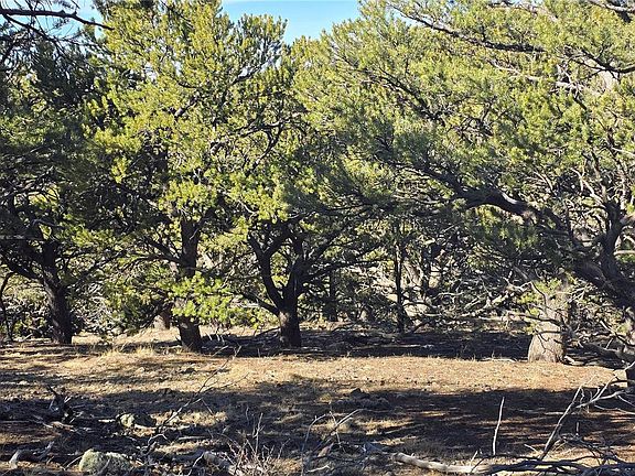 3rd image of Lot 4510 Iannelli Road