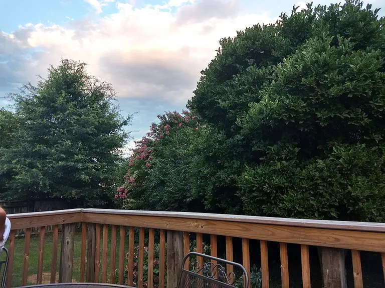 View from deck.