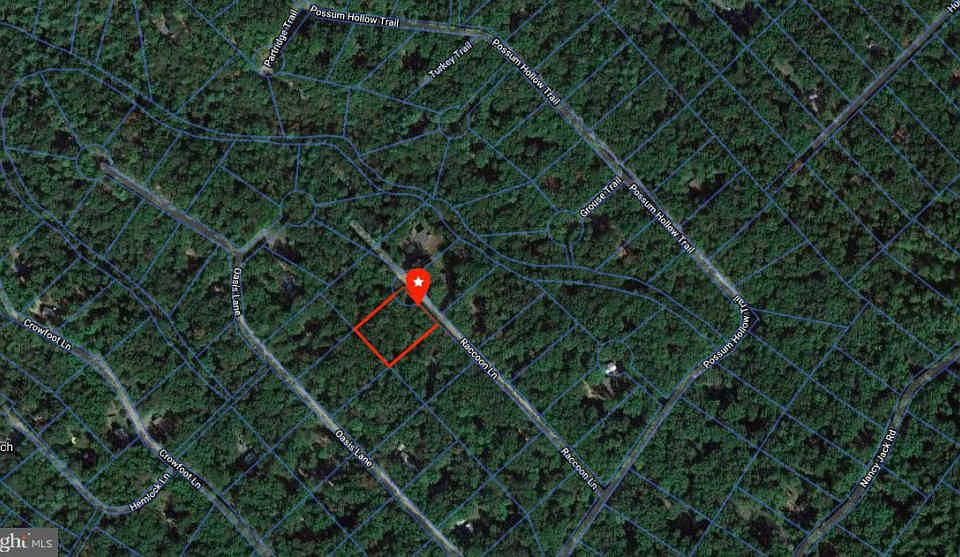 2nd image of 202 Raccoon Ln