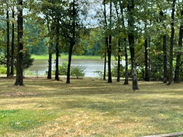11 Rockwood Rd — Photo 3