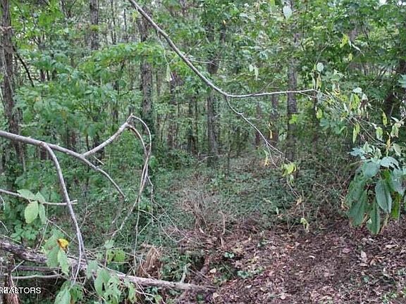 3rd image of Highland Dr