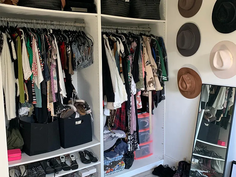 Back Bedroom Closet