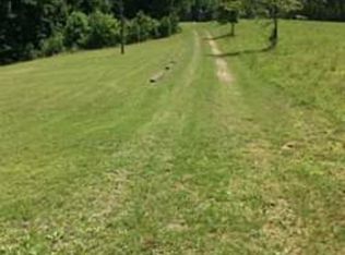 329 Blue Spruce Dr, Martinsville, VA 24112