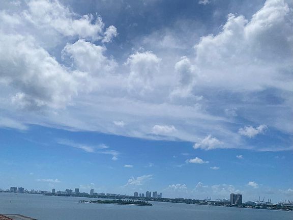 South Beach View