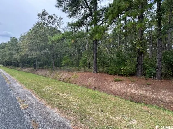 TBD Salem Rd. Lot 9 Salem, Aynor, SC 29511